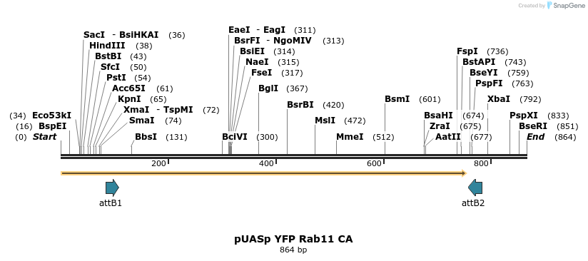 87558_map
