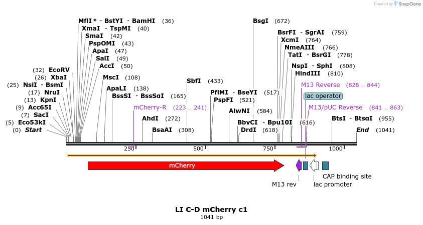 87560_map