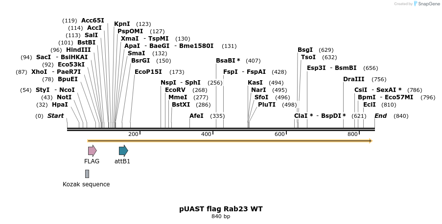87563_map