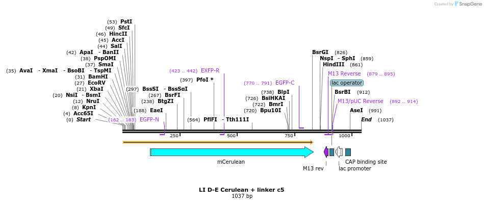 87568_map