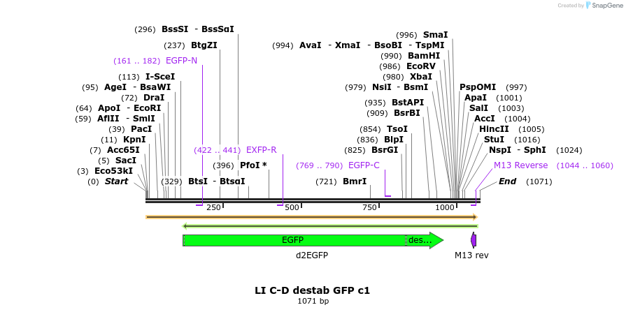 87570_map