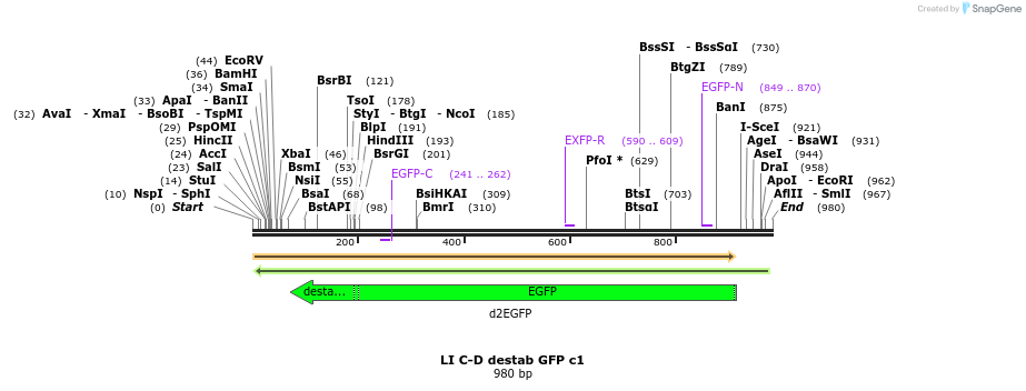 87572_map