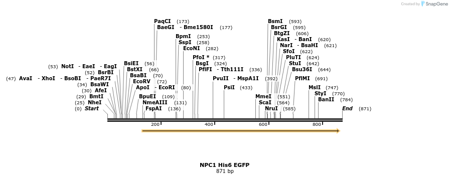 87574_map