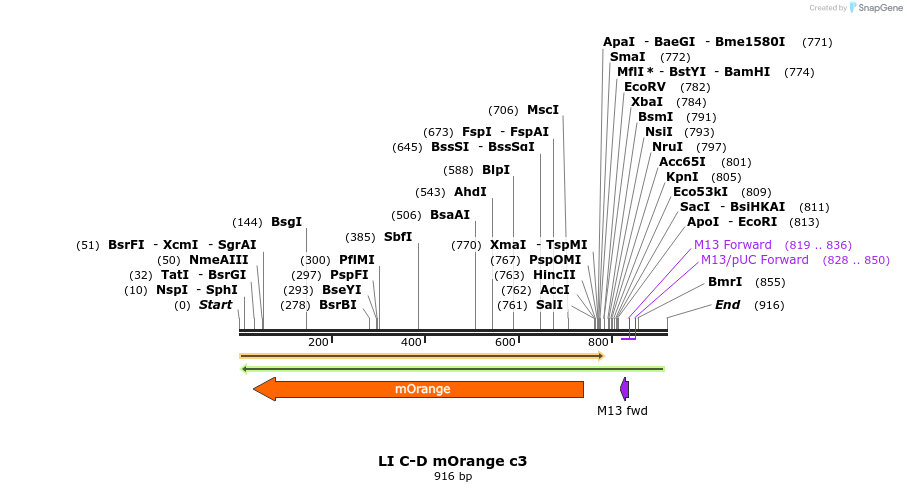 87575_map
