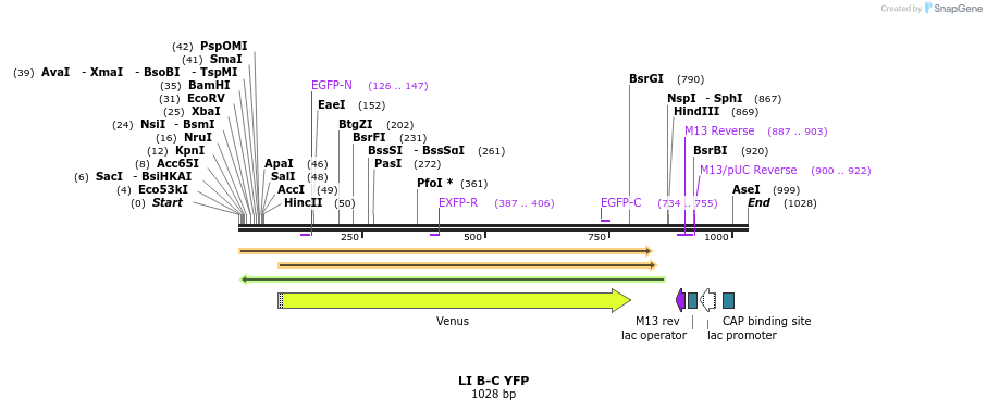 87576_map