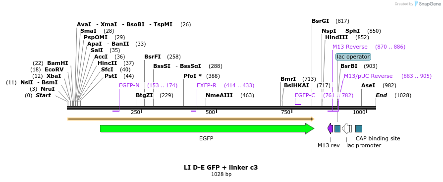 87581_map