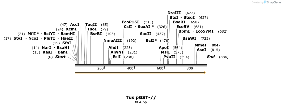 87587_map