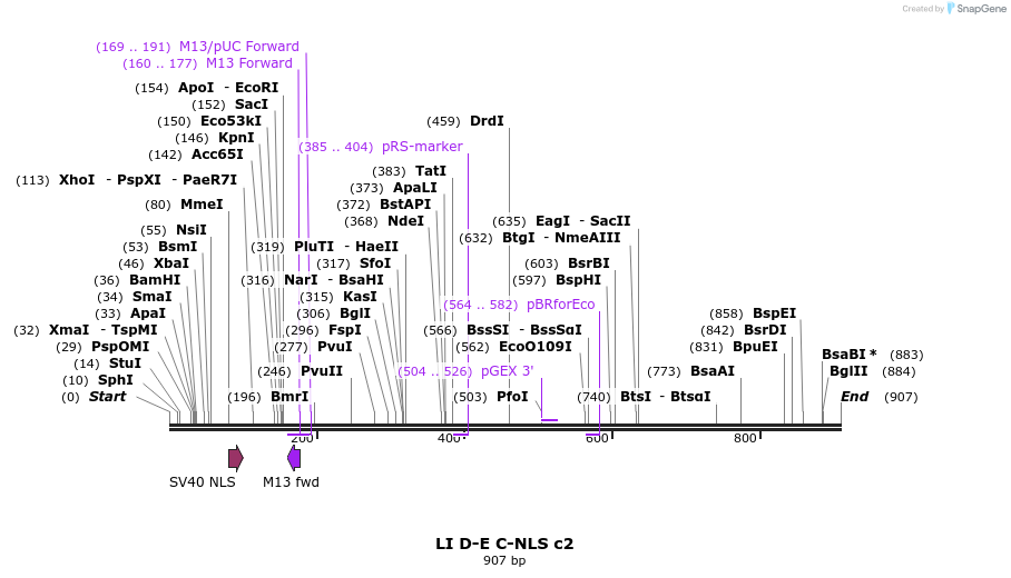 87595_map