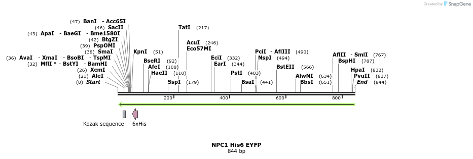 87596_map