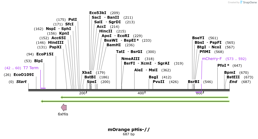 87597_map