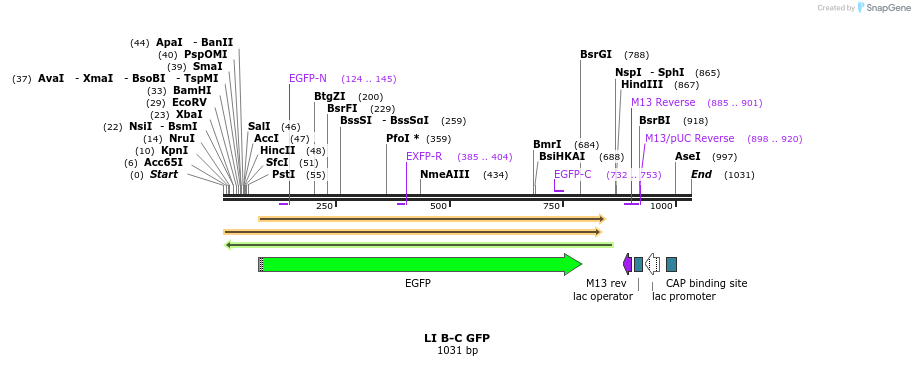 87598_map
