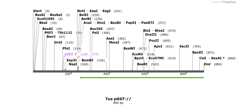 87599_map