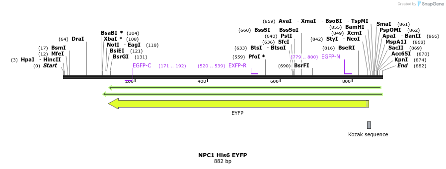 87600_map