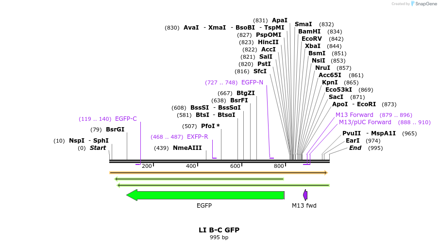 87601_map