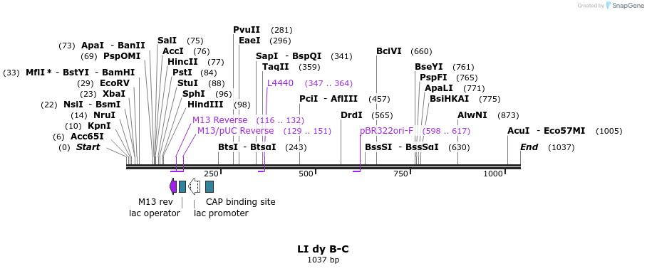 87602_map