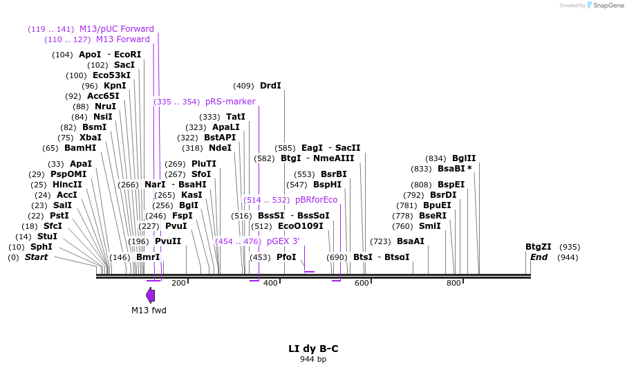 87603_map