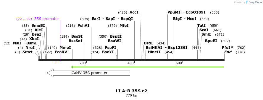87604_map