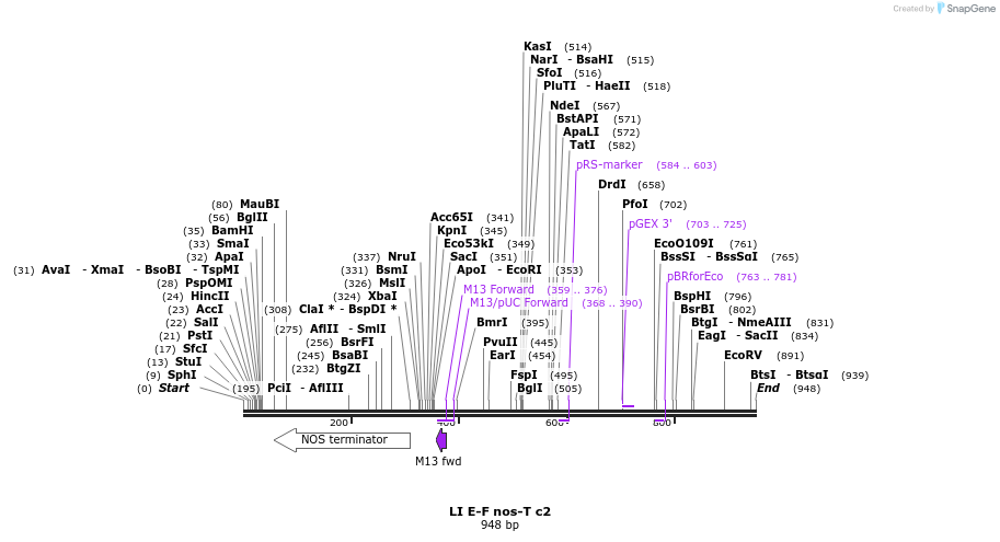 87607_map