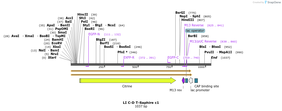 87608_map