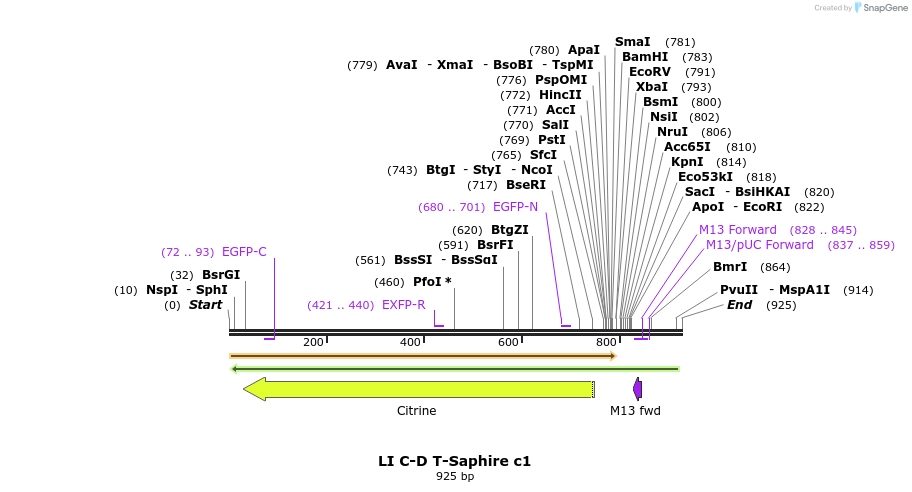 87609_map