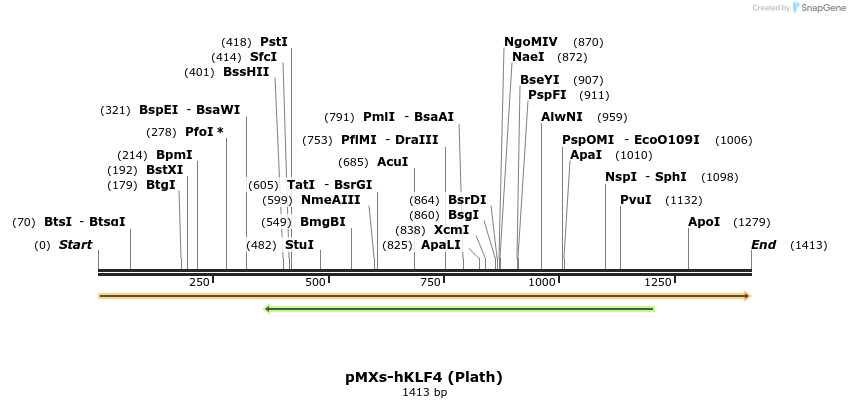 8761_map