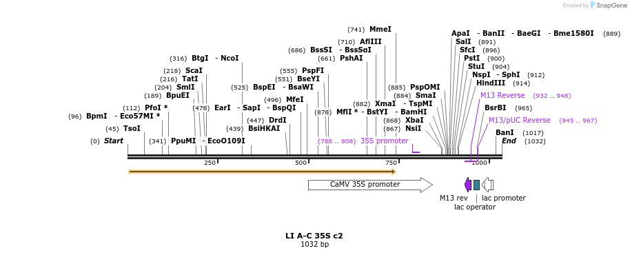 87610_map