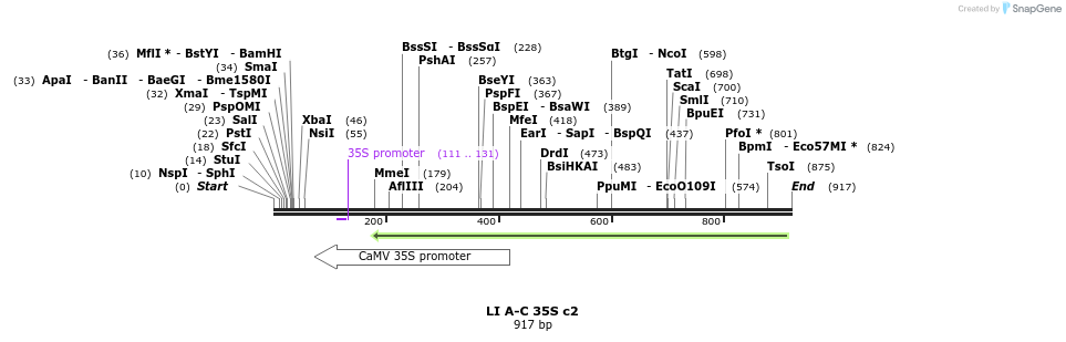 87611_map