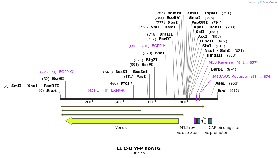 87613_map