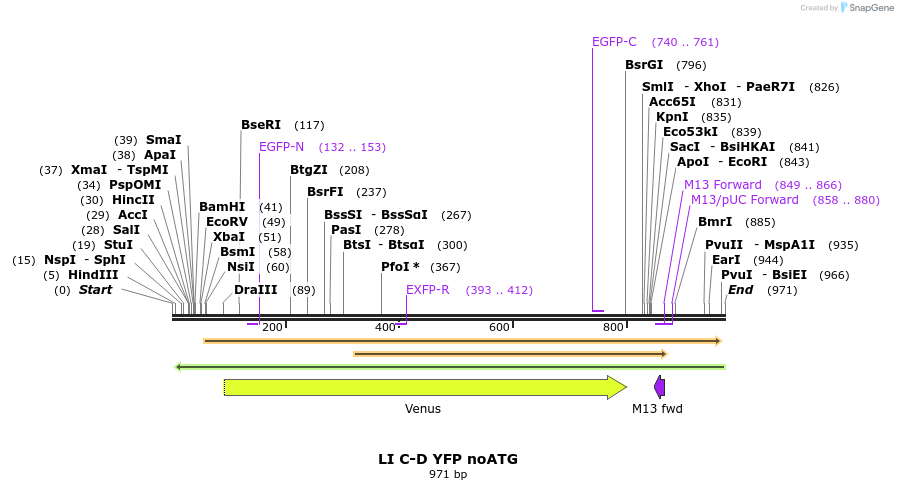 87614_map