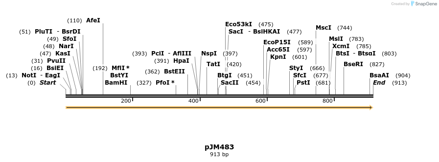 87615_map