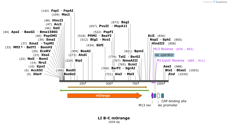 87616_map