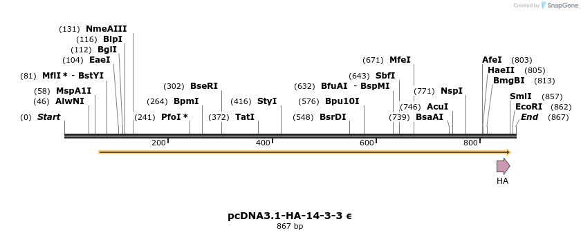87617_map
