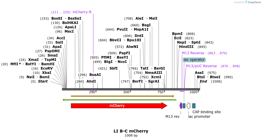 87620_map