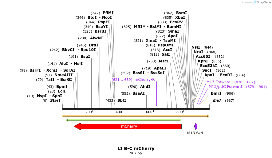 87621_map