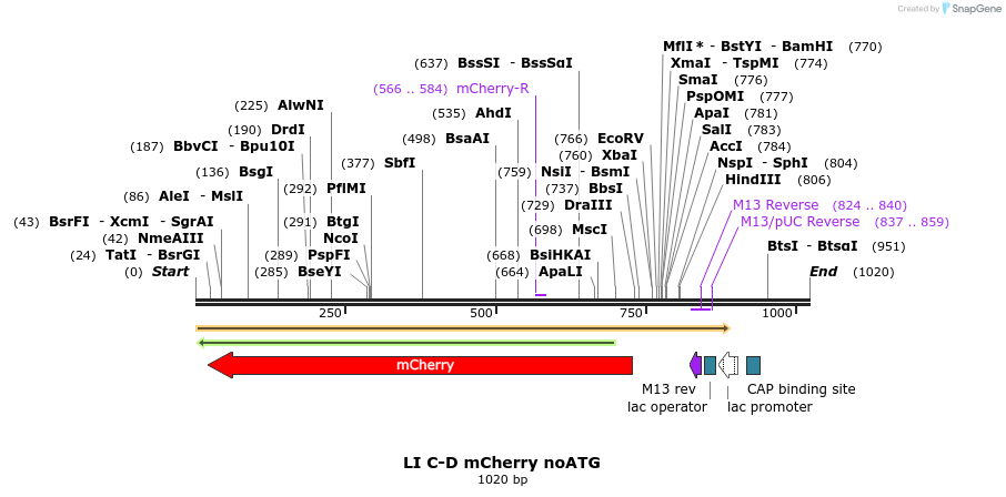 87623_map