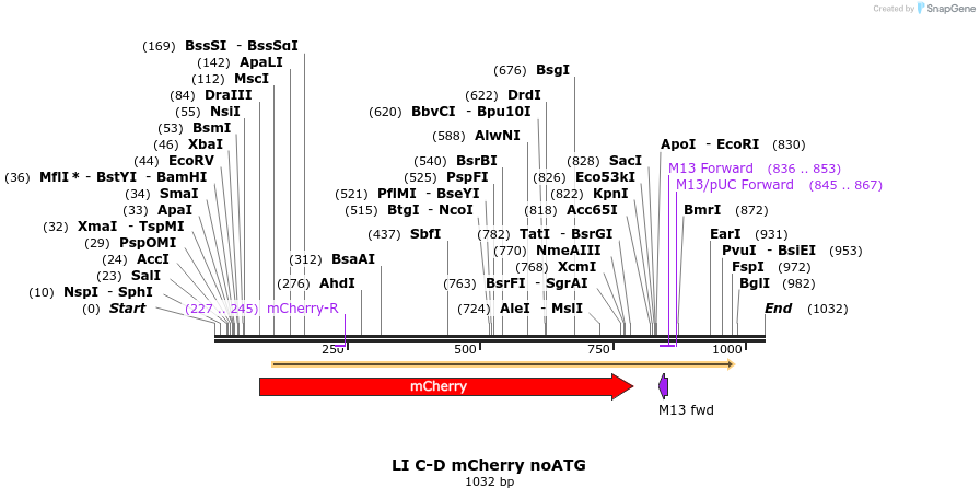 87624_map