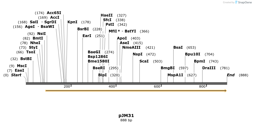 87625_map