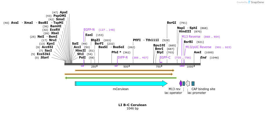 87629_map