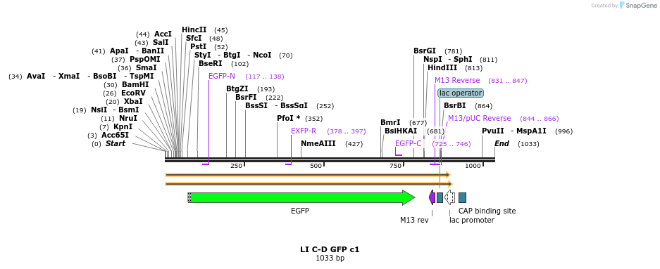 87632_map