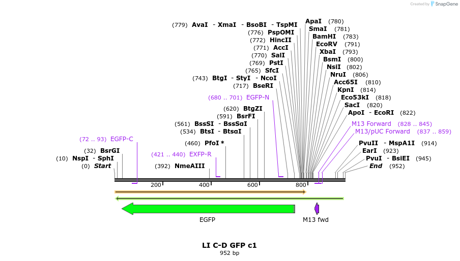 87634_map