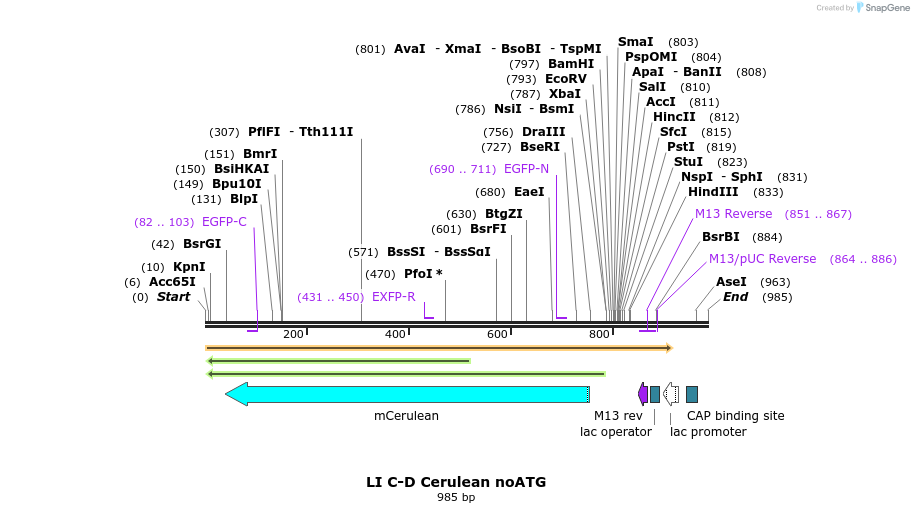 87636_map
