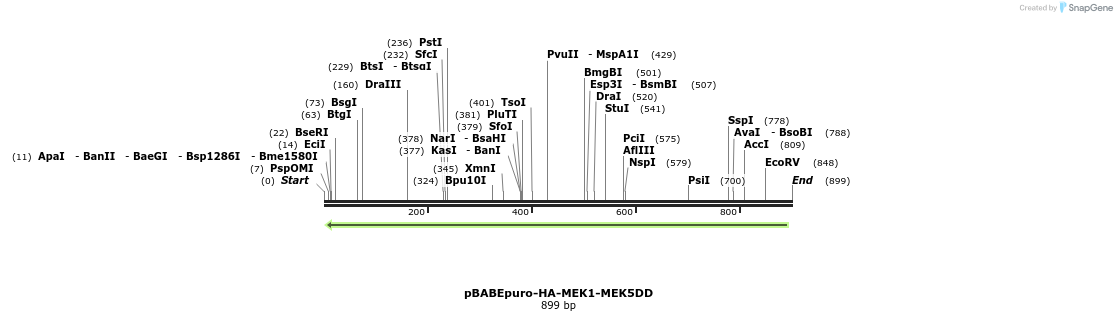 87638_map