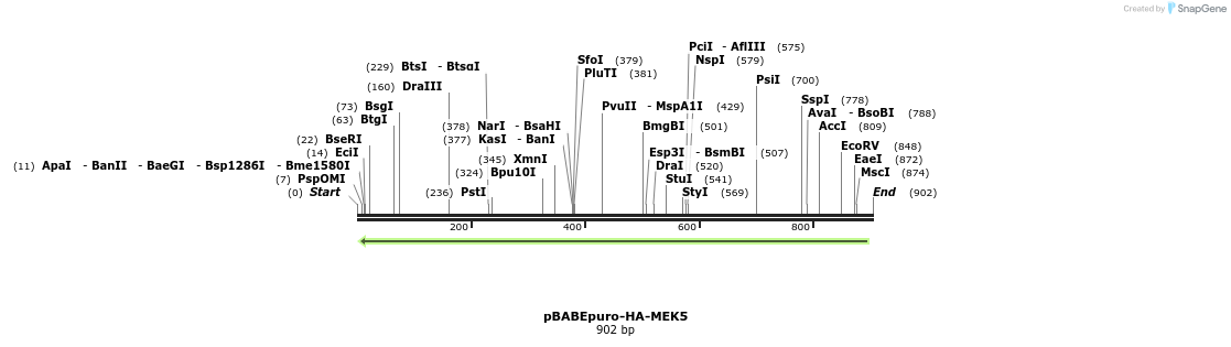 87639_map