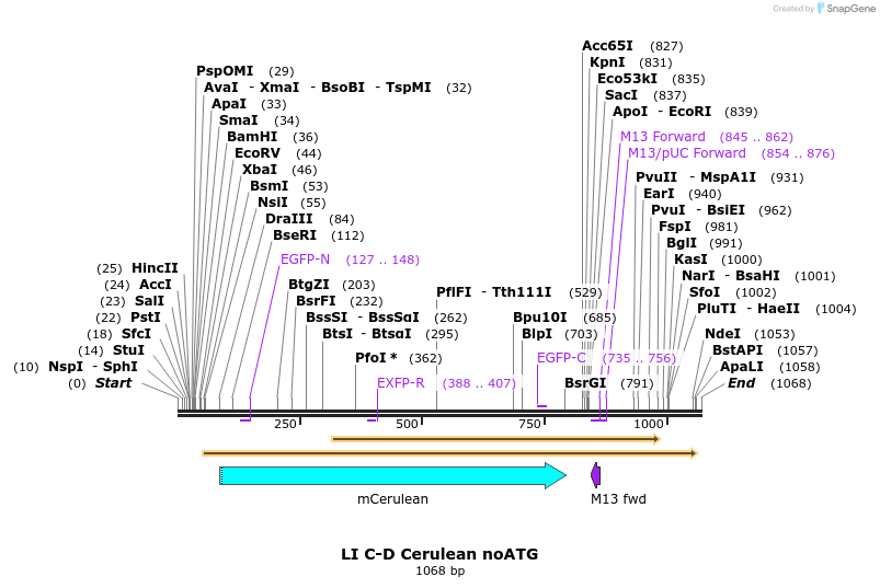 87641_map