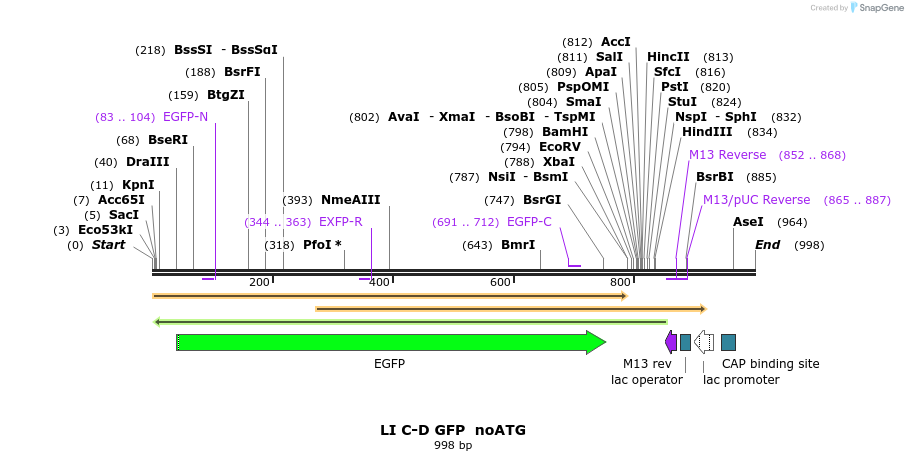 87643_map