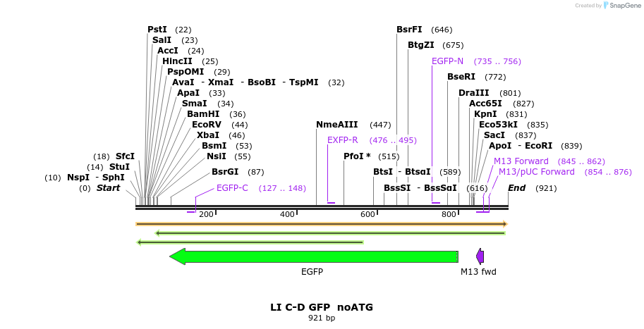 87645_map