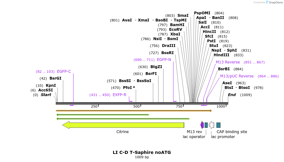 87646_map