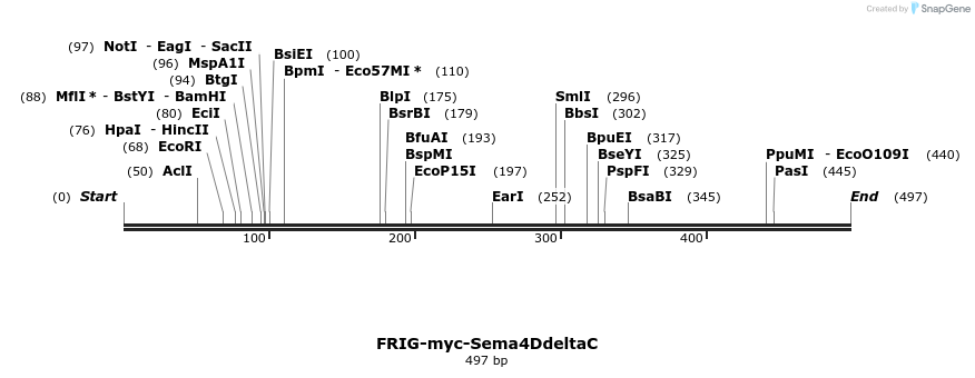 87649_map