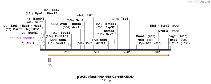 87650_map