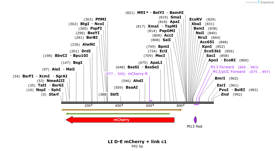 87652_map
